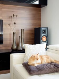 A  whole house speaker system can give you the ultimate convenience while enjoying music at home. 