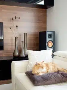 A  whole house speaker system can give you the ultimate convenience while enjoying music at home. 